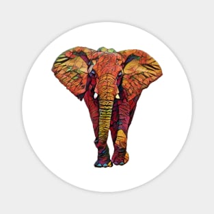 Cute Colorful Elephant Design Magnet